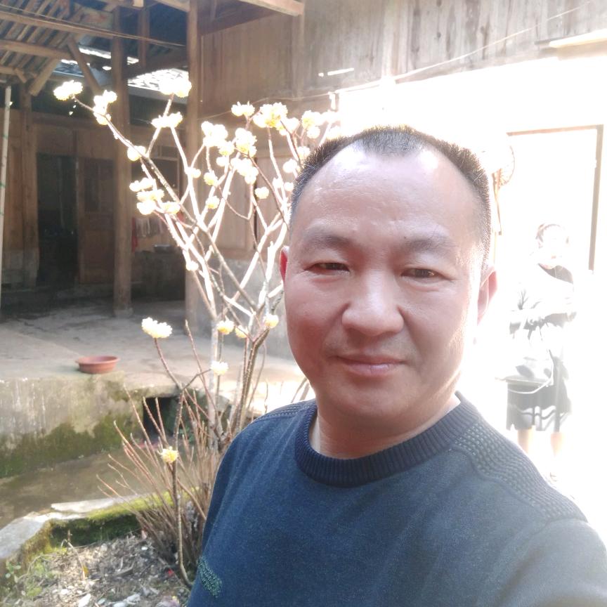 爱剪赵叔