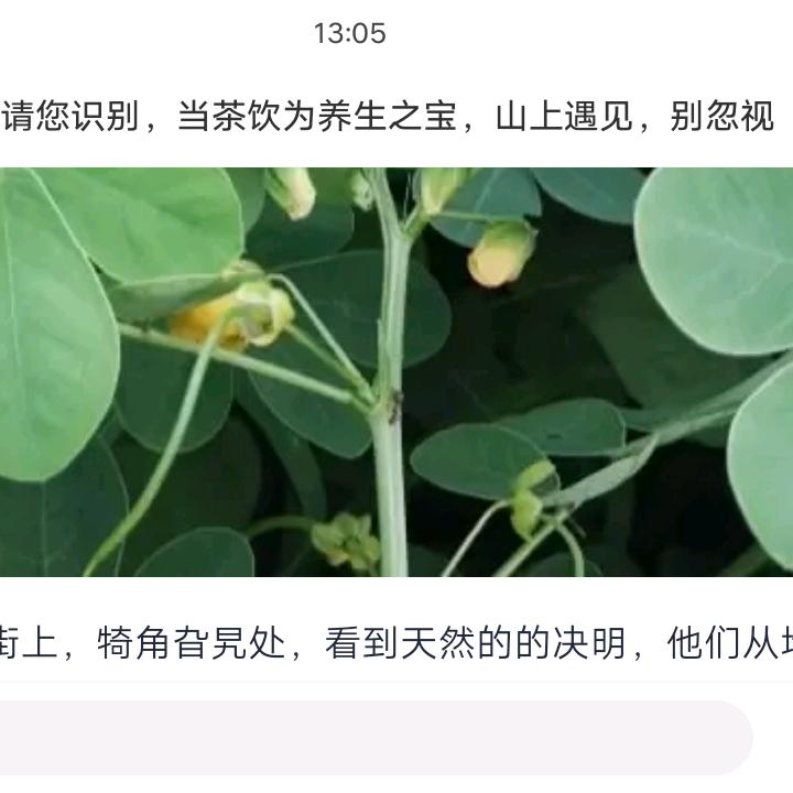 平安健康就好