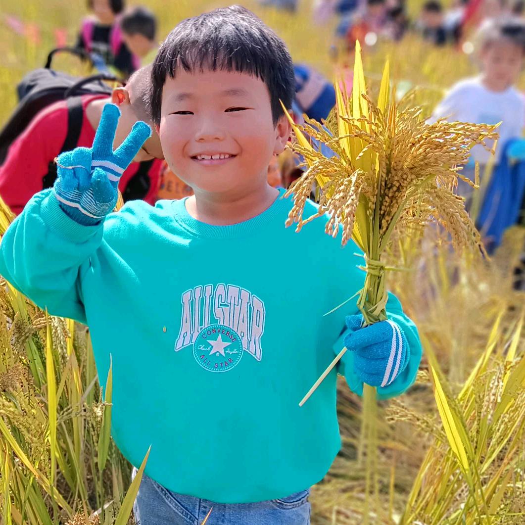 往生流年