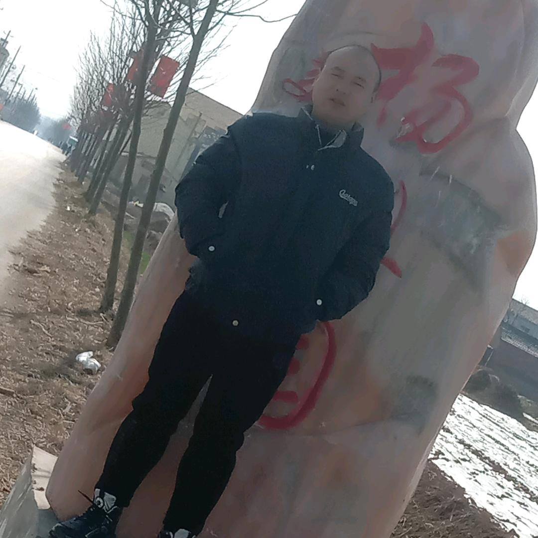 自由飞翔