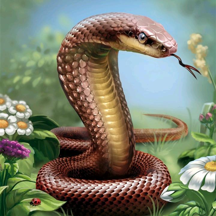 一条开心的 🐍