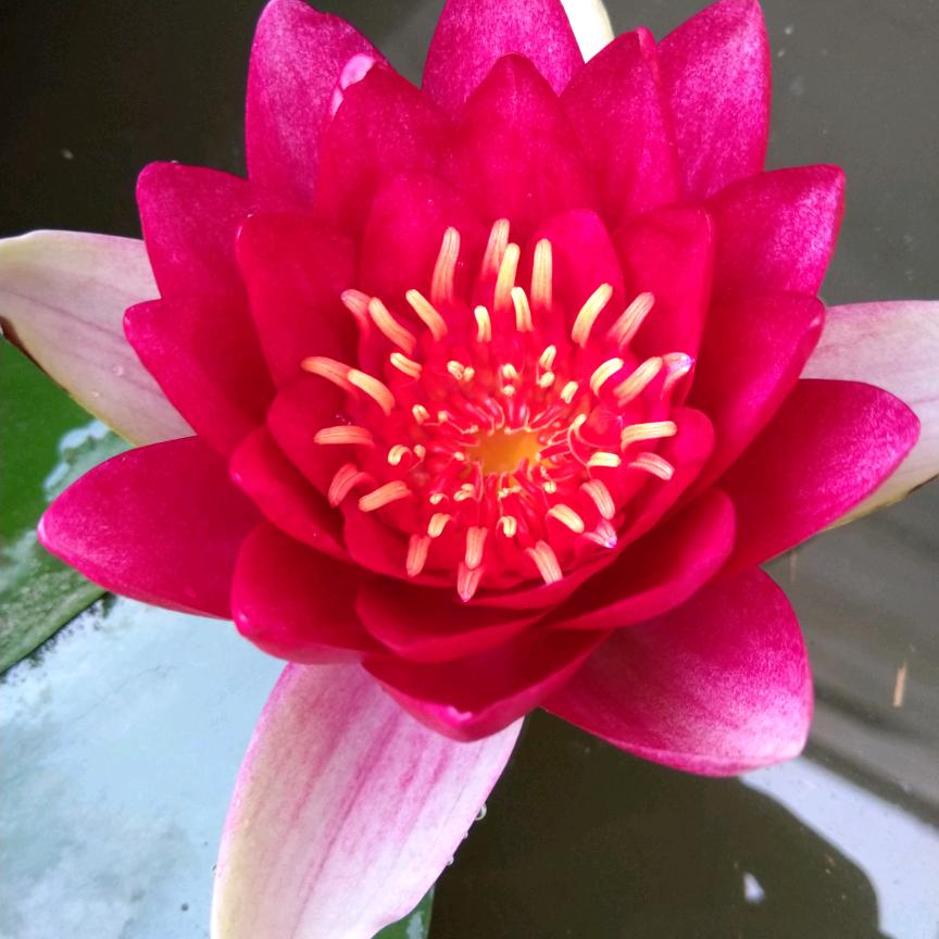 用户5578798504周治山710