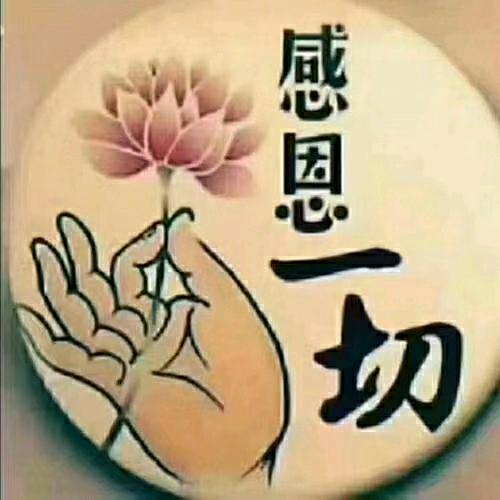 心海-多姐🙏