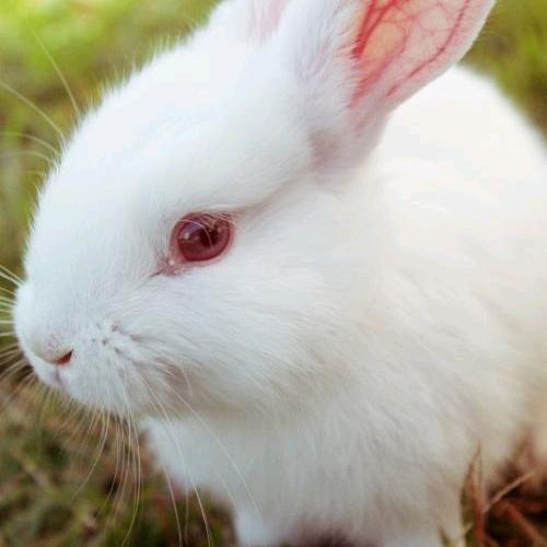 冷风细雨，2421753312