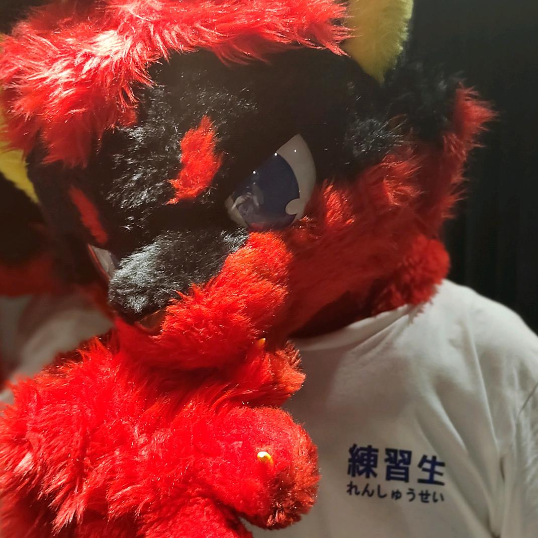 赤琥Akakora