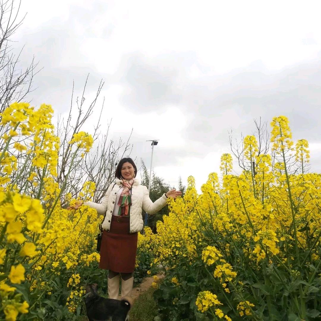 绿叶飘飘