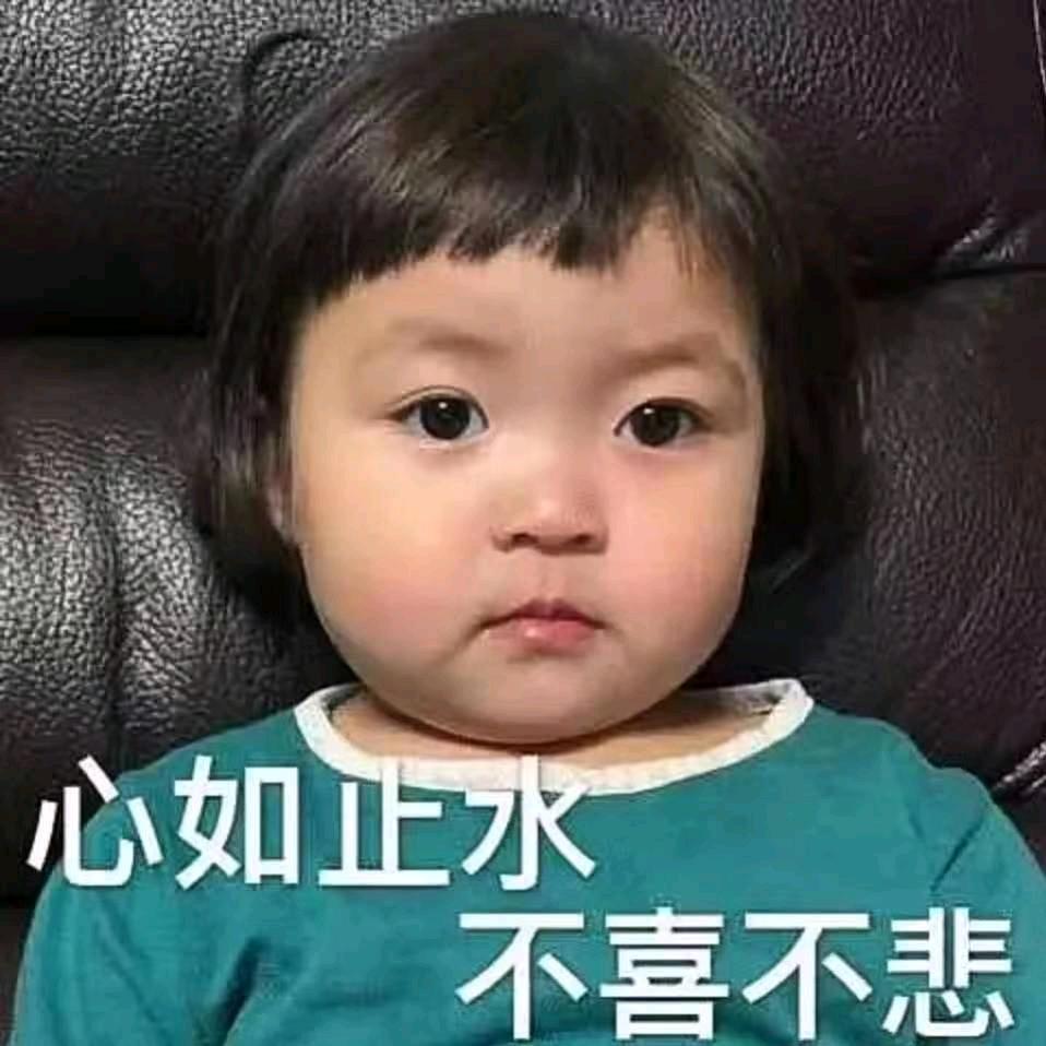 你笨不笨头像
