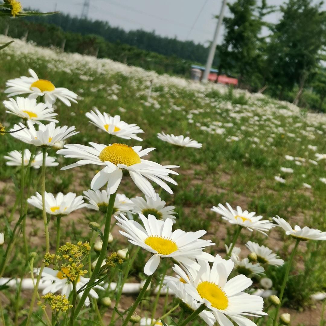 海绵遇上海水