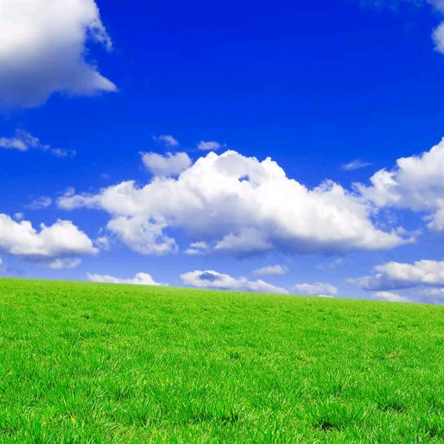 平平淡淡才是真