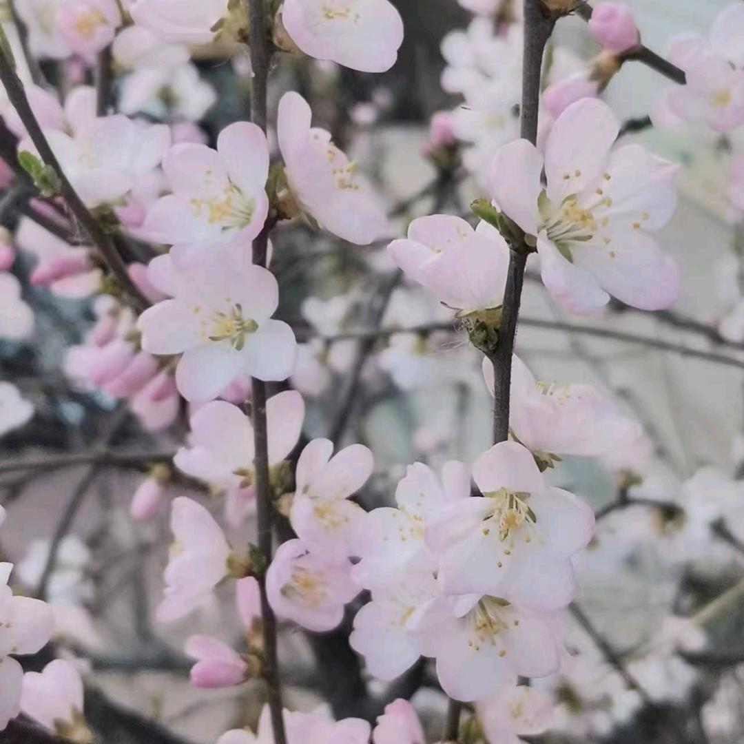 奕冬冬