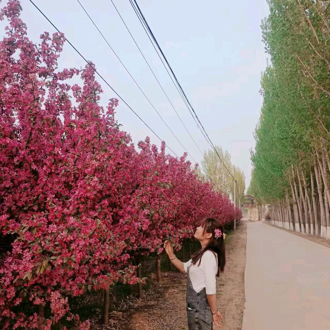 半夏微凉😜😝😜