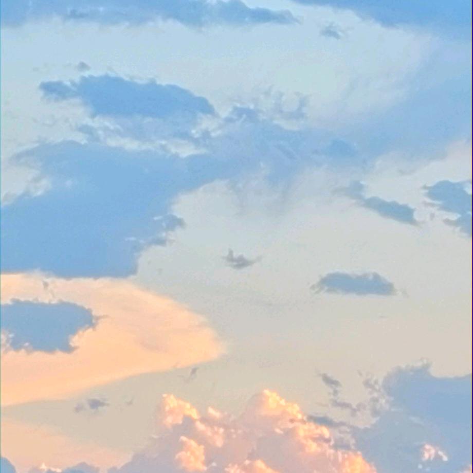 笑д营〈小胖放心肉〉