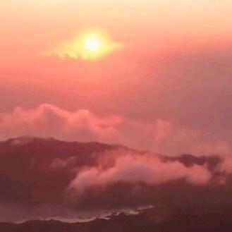 倩宝头像