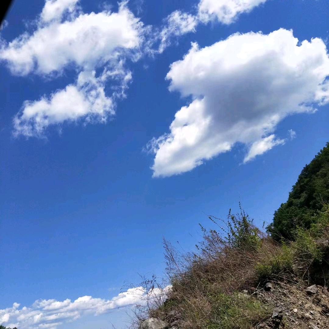 明哥