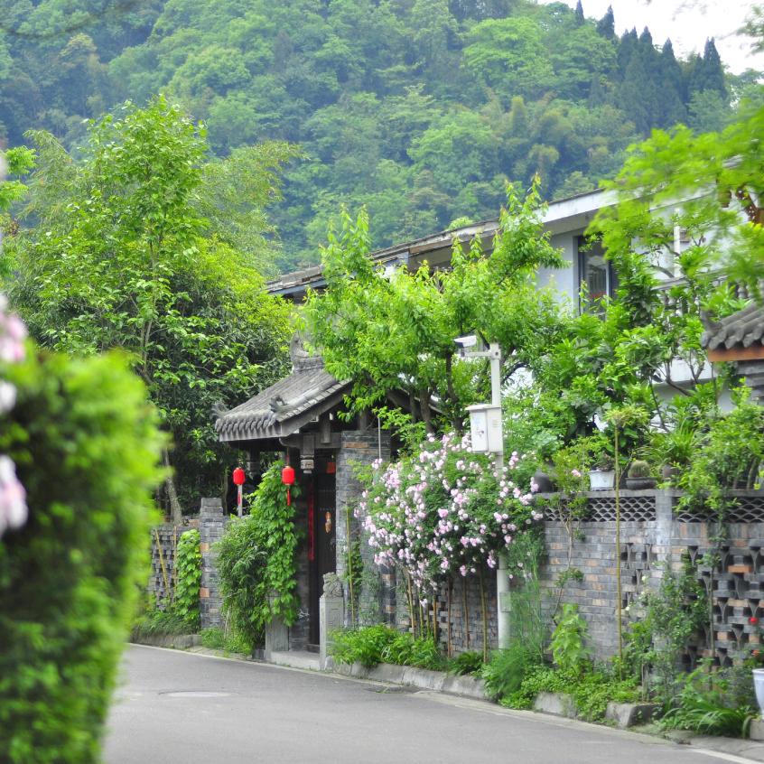 成都别墅推荐官