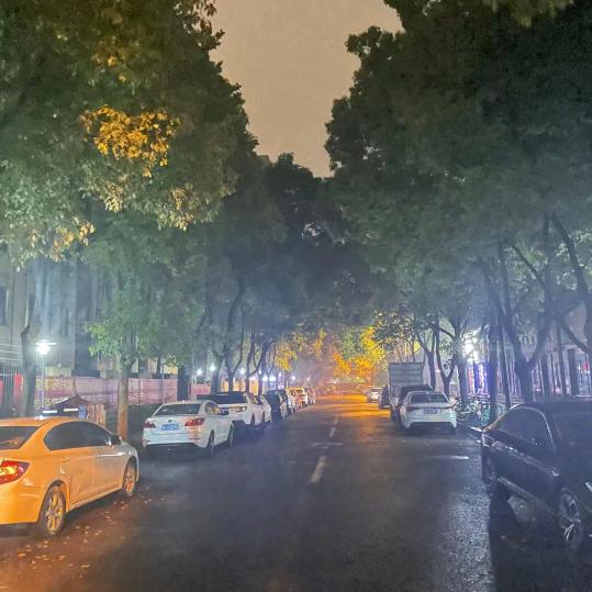 🌈常坤🇨🇳.꒰ϱ﹏-