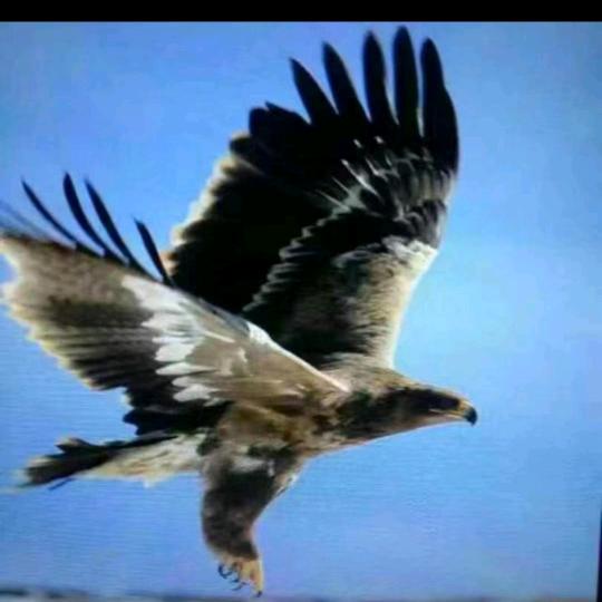 头等舱沙发山亭总经销