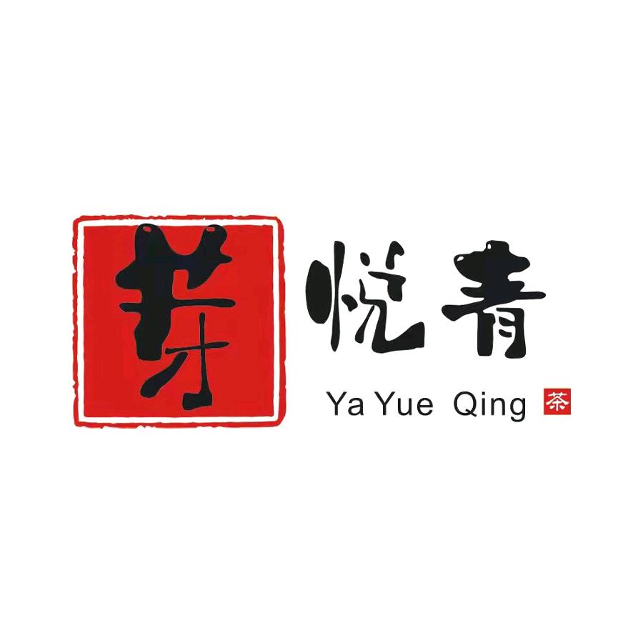 日照绿茶芽悦青