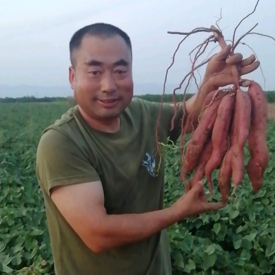 农副产品销售个体店