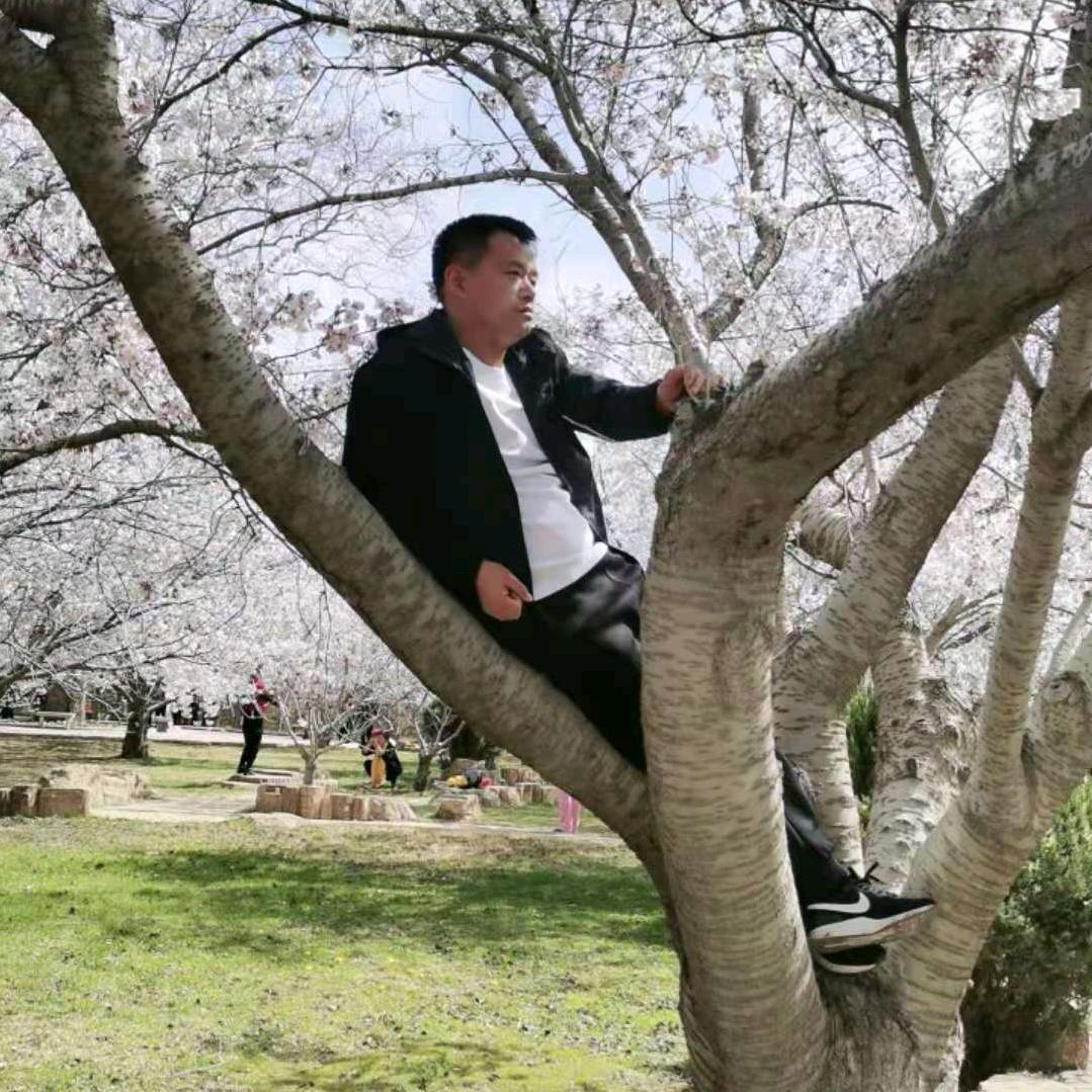 爱旅游的石头子