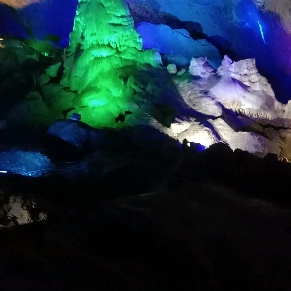 倒骑毛驴上高速
