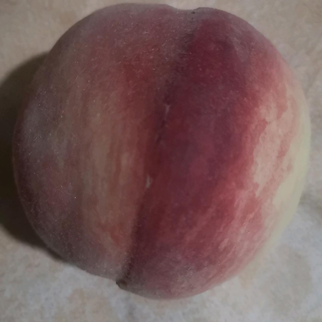 桃子_248970936