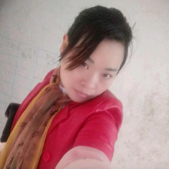 李登琴