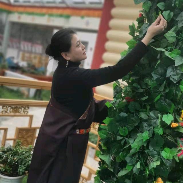 德卓拉