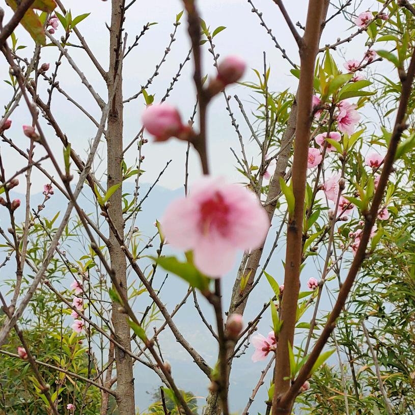 山雨