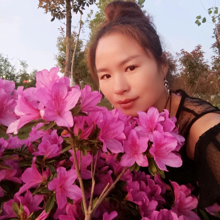 心灵寄托
