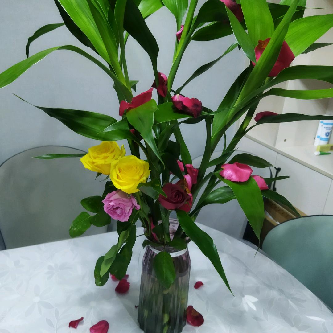 叶子红了
