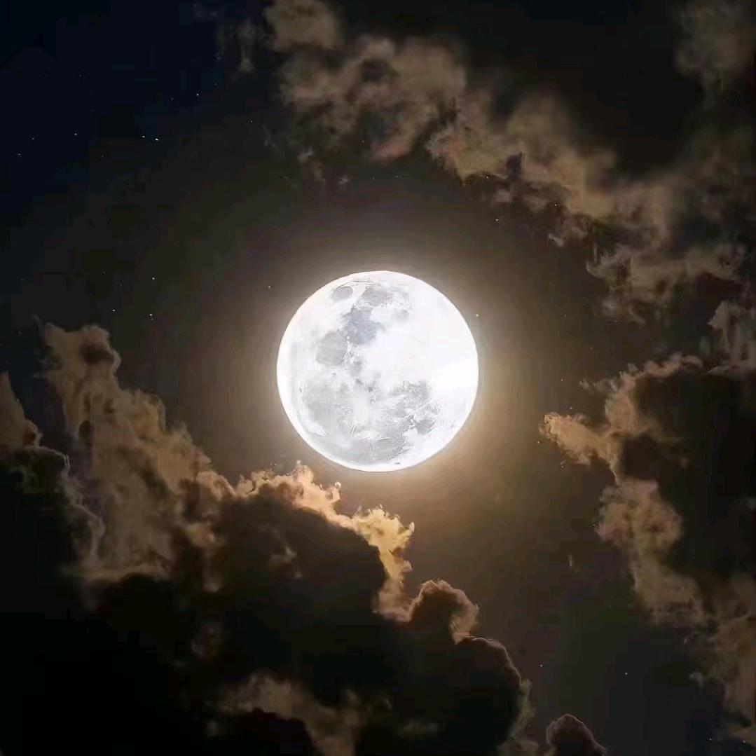 桃花庵里桃花仙