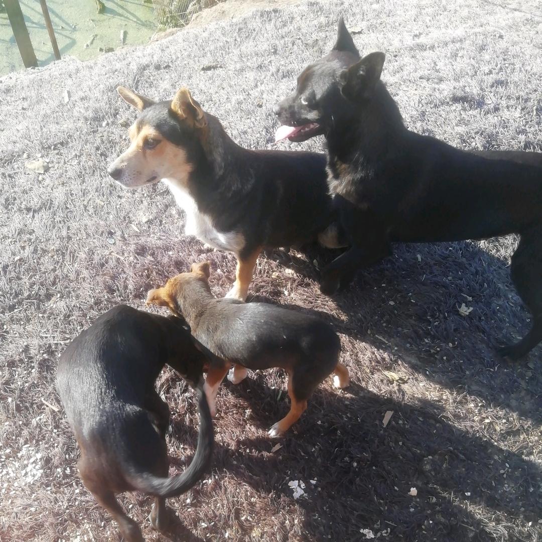 一直在路上（欢迎私聊）