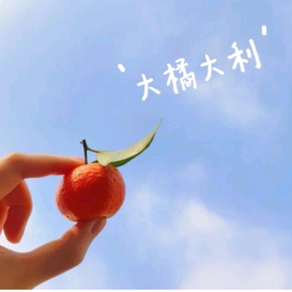 猫了个咪🌷