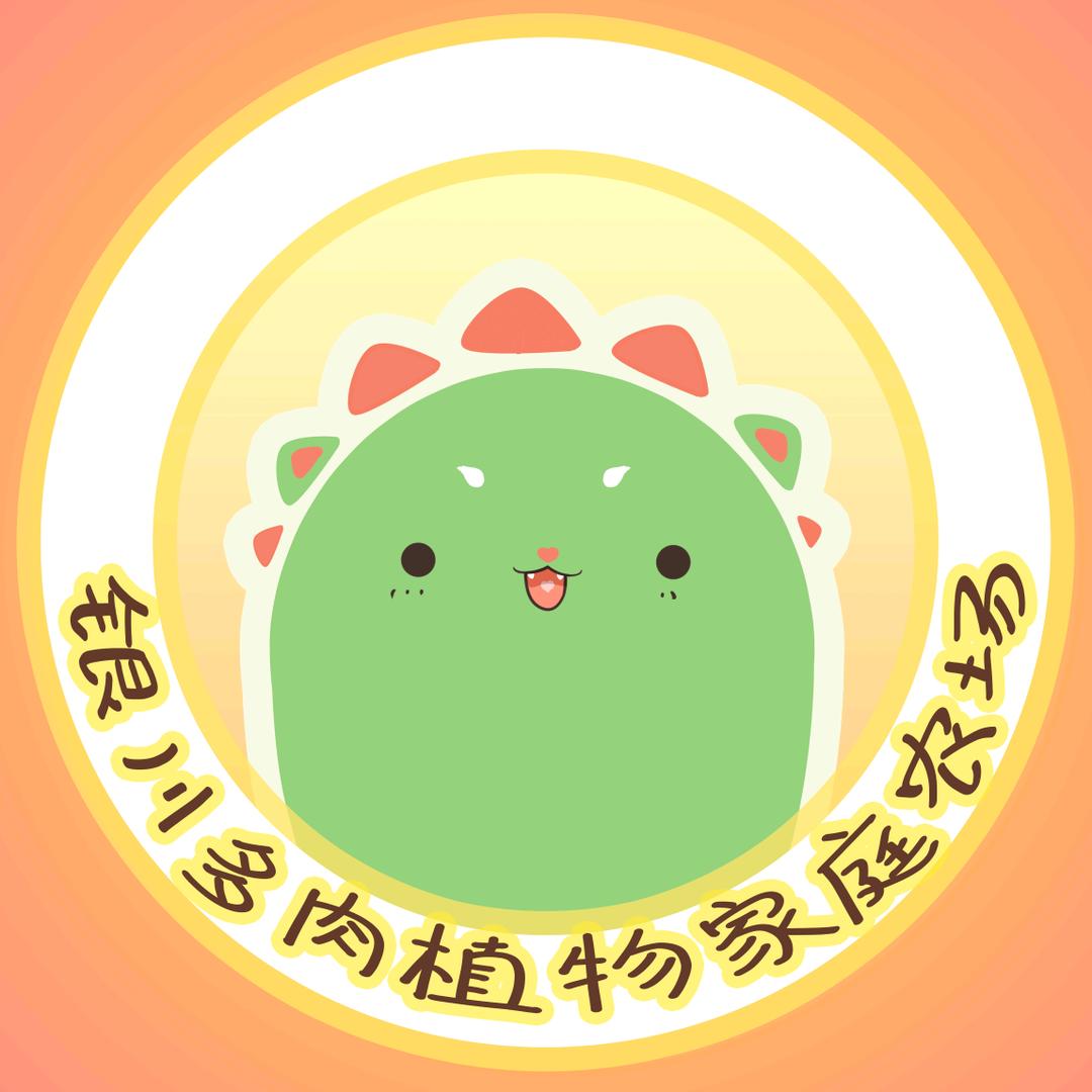 银川多肉植物家庭农场