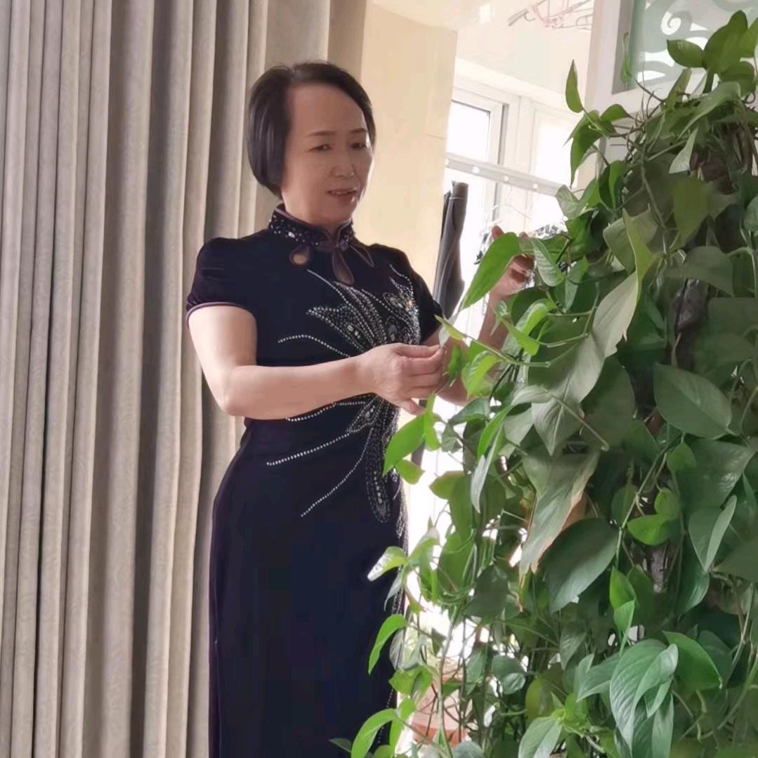 河南安阳赵老师
