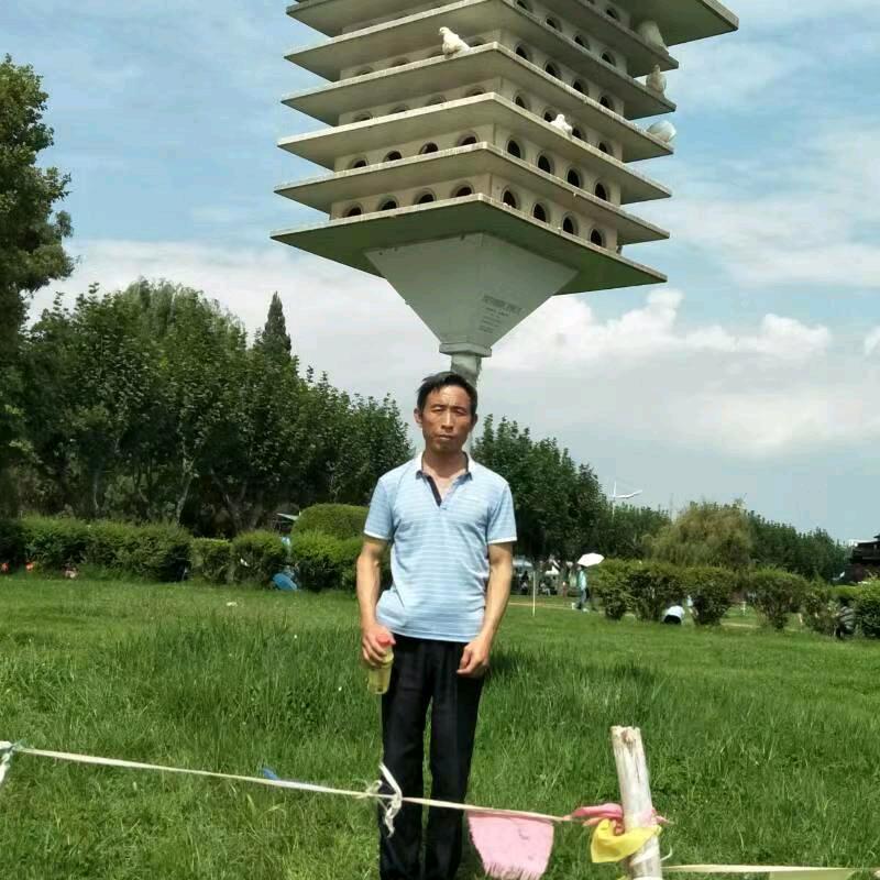 天天开心，陈