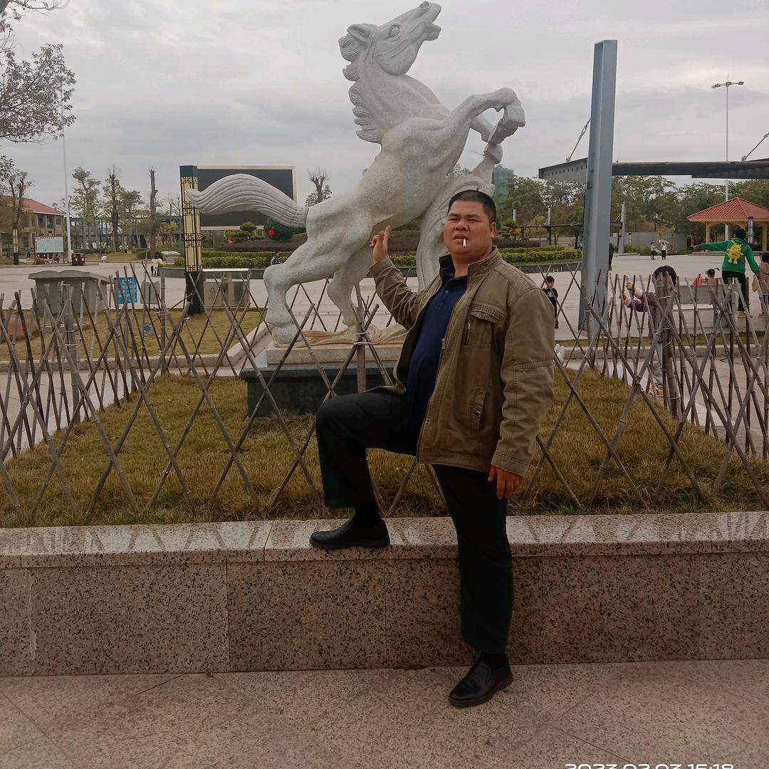 阳哥