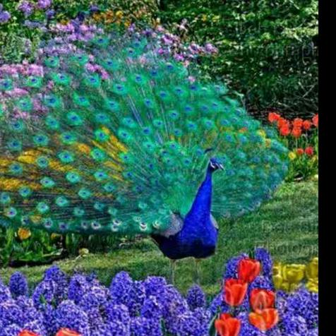 一切靠自己