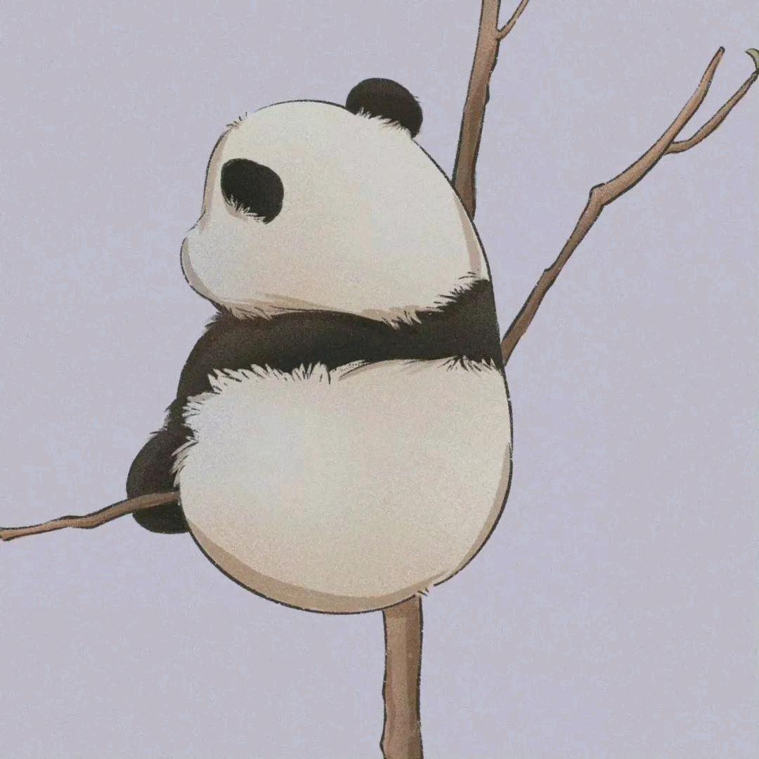 小白