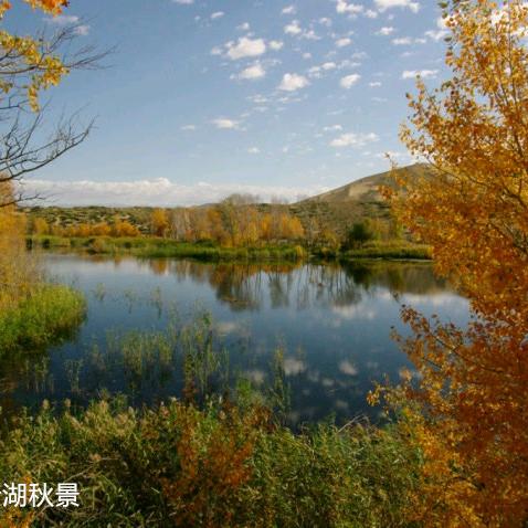 山东高报李老师