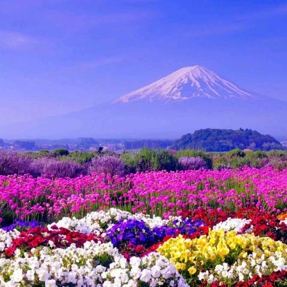 缘分(63 年的兔🐰 )