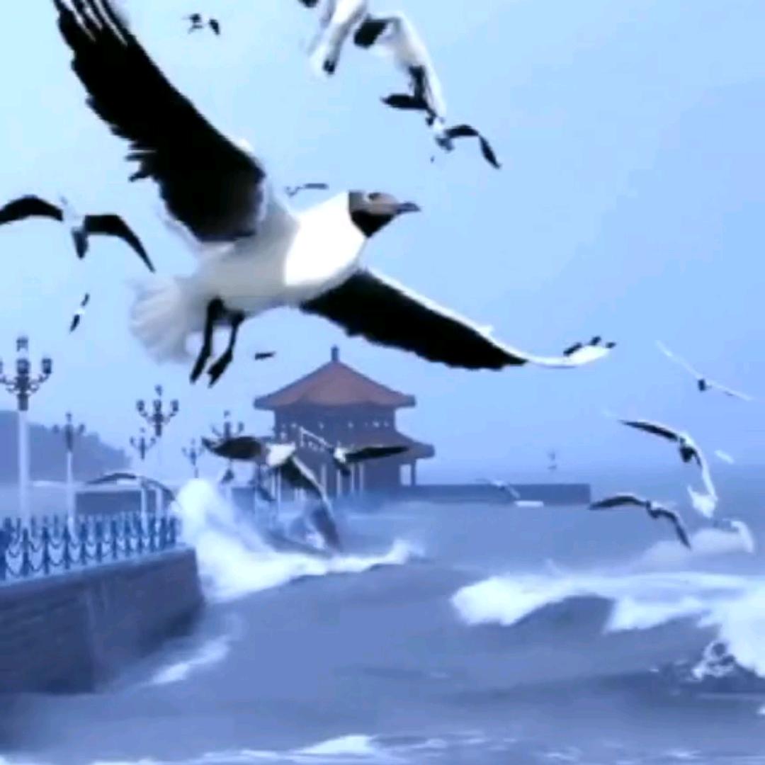 顺水