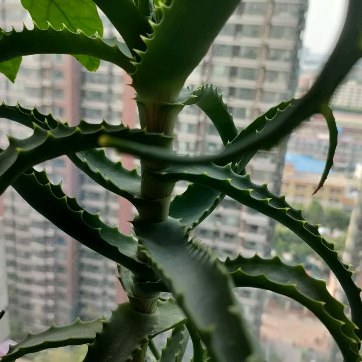 重新再来