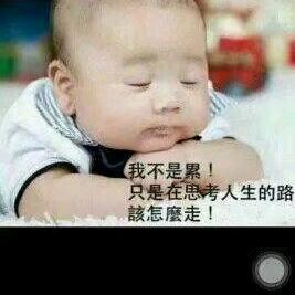 叼毛的毛