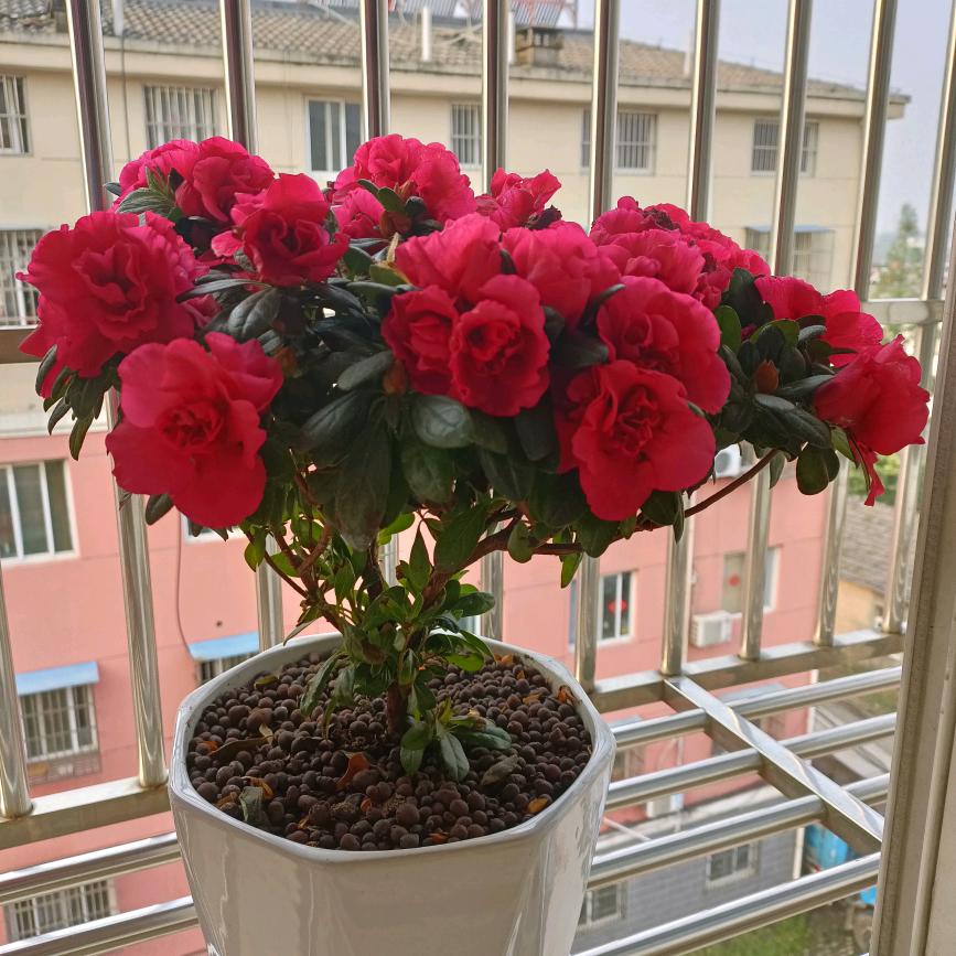 用户4246354647411y喻