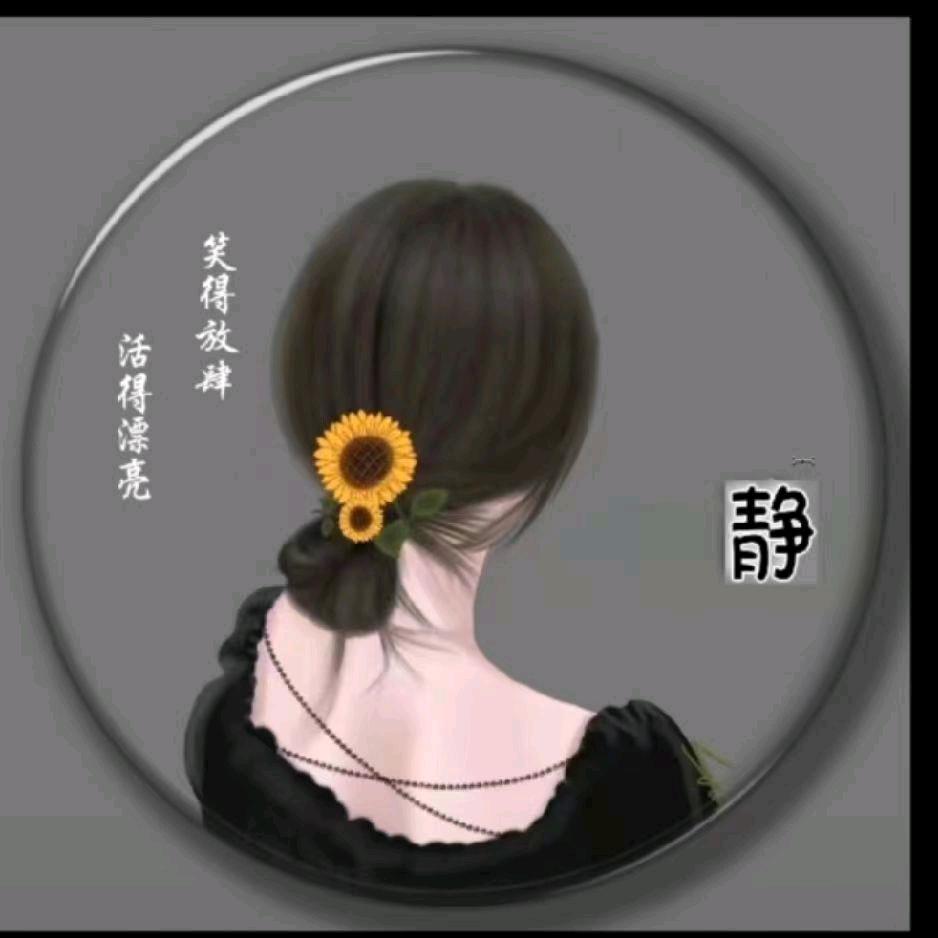 静静家滴小灰灰