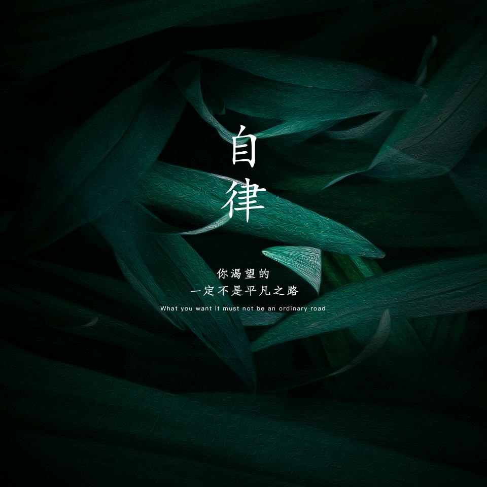 星星✨白榆