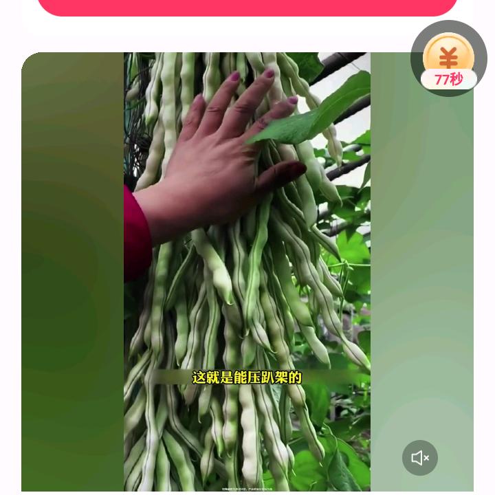 ！！？。，，。