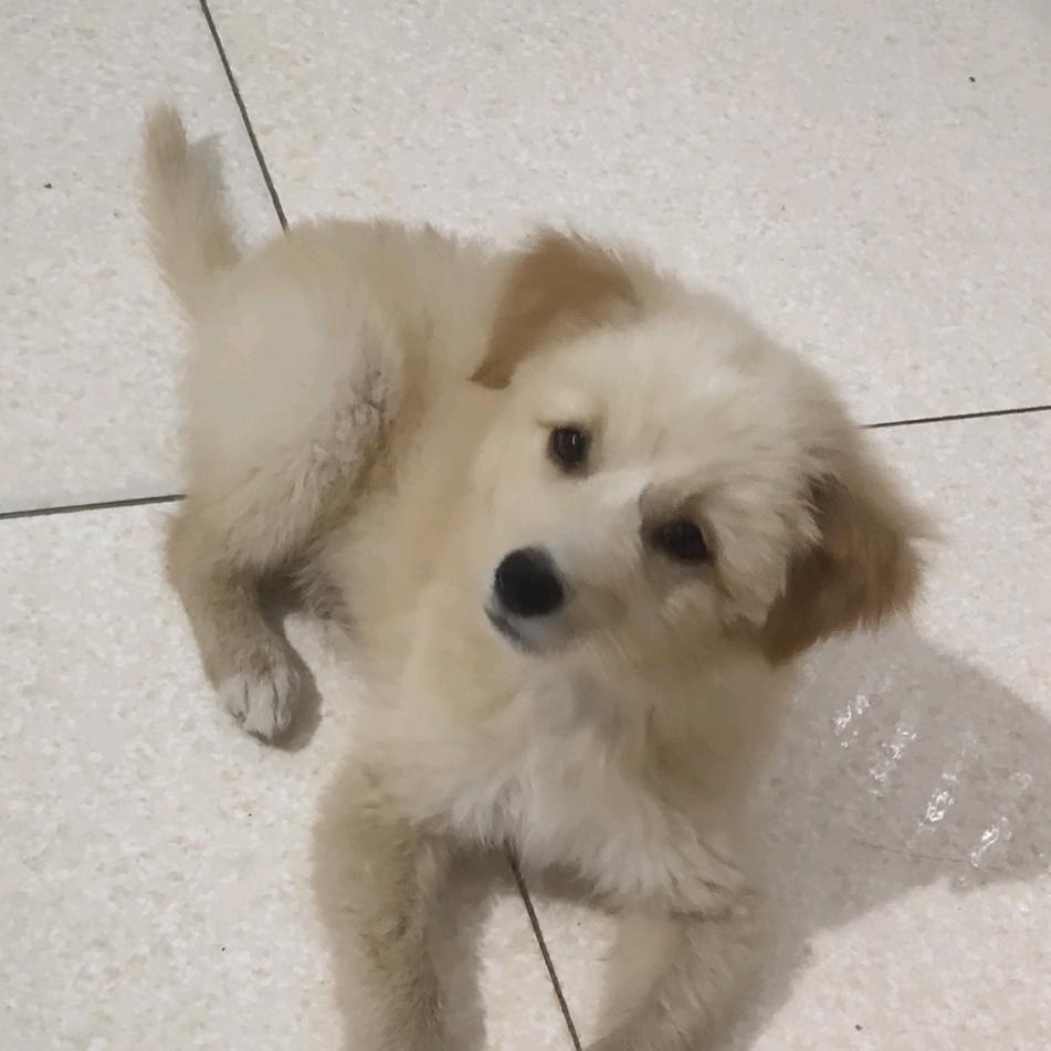 ，明天更好